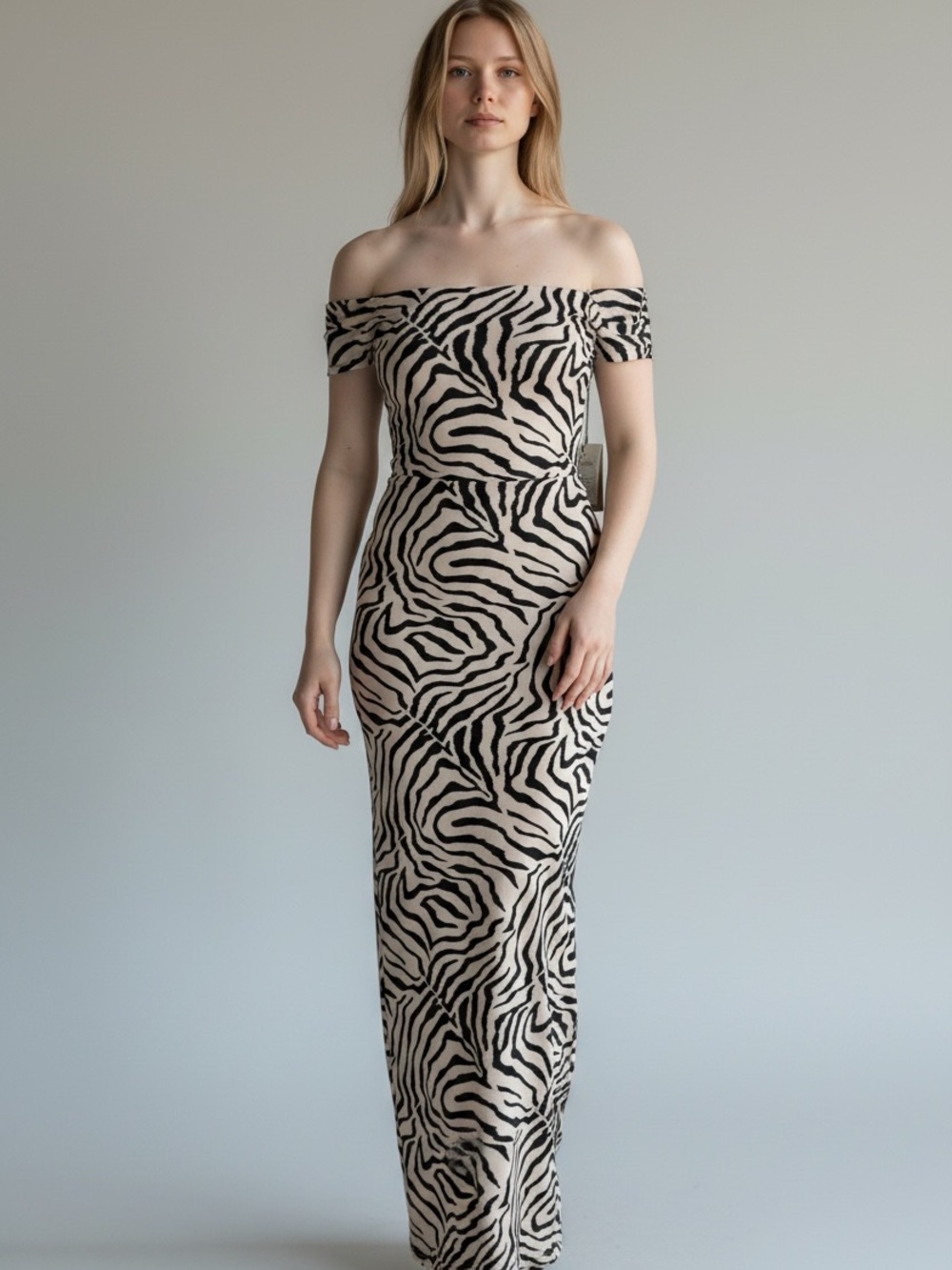 NWT Chiara Boni La Petite Robe Anselma Long Dress 44 (8)
